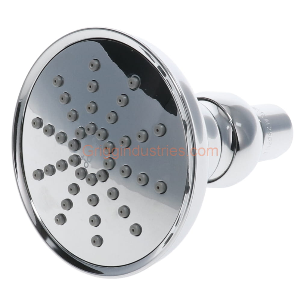 Danze S1215G03 Chrome Shower Head